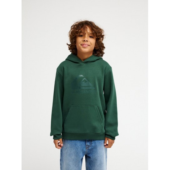 Sweat Quiksilver Comp Logo K - Verde