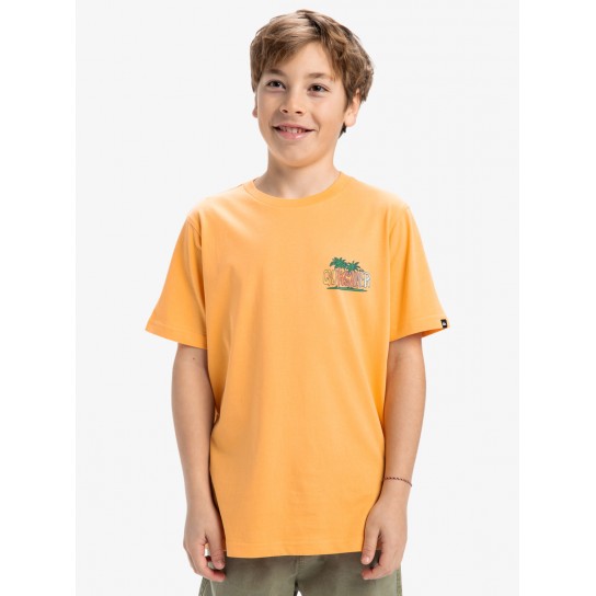 T-shirt Quiksilver Sunny Palms J - Laranja
